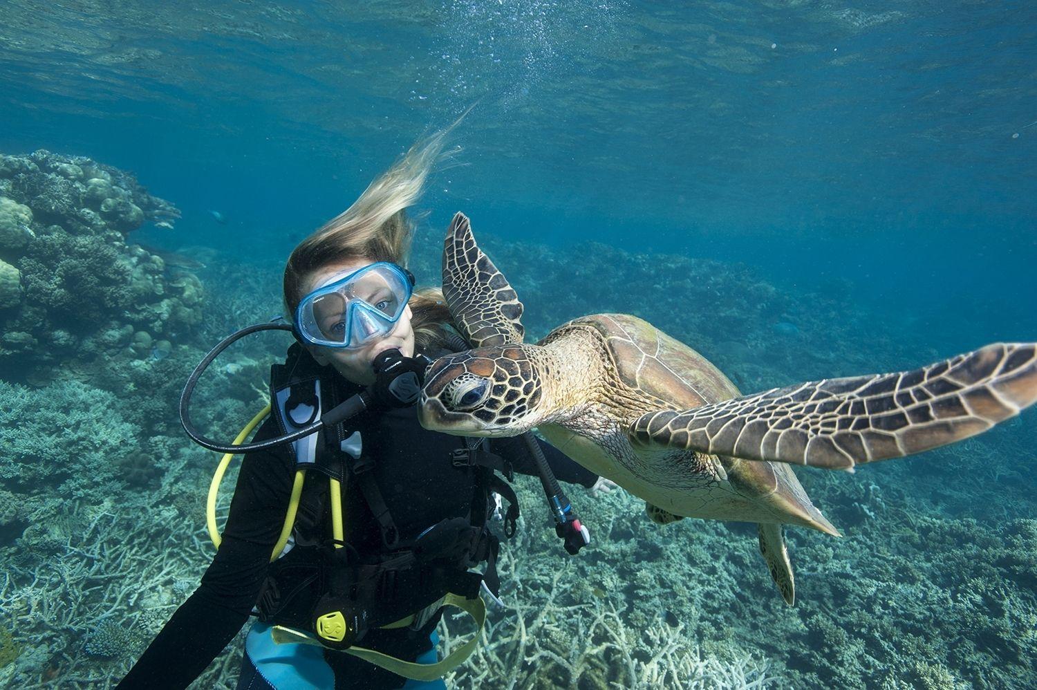 Unveiling the Ocean: What Marine Biologists Really Do
