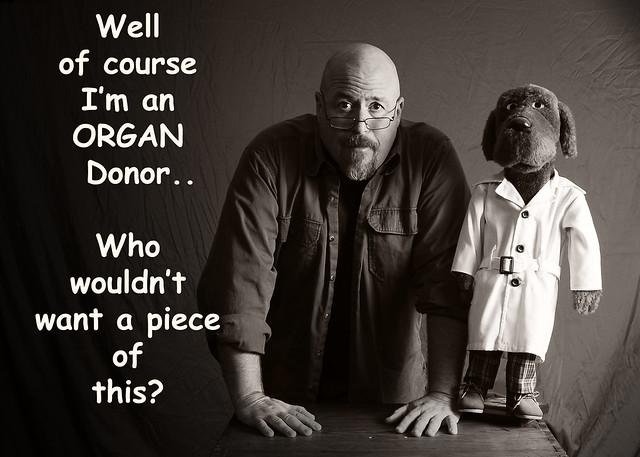 Exploring the Roots of Self-Inflicted Humor in Wizards