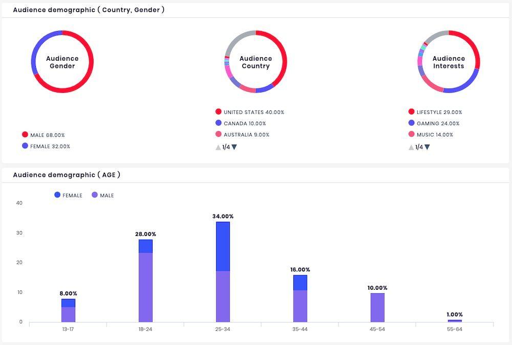 Diving Deep: Analyzing Subscriber Demographics Made Easy