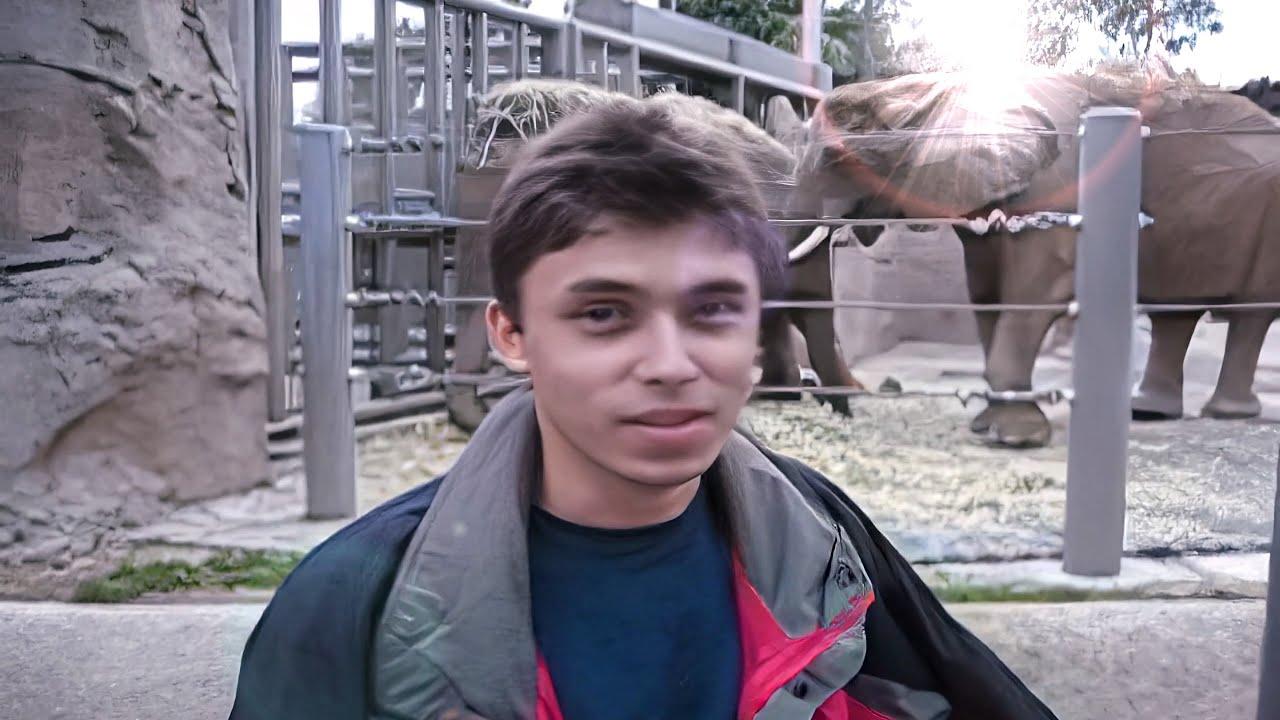 Lessons Learned: What ⁢Me at the Zoo Teaches Us⁣ About Content Creation Today