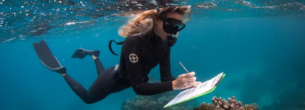 Bridging ‍Science and Community: ​Engaging the Public in Marine Research