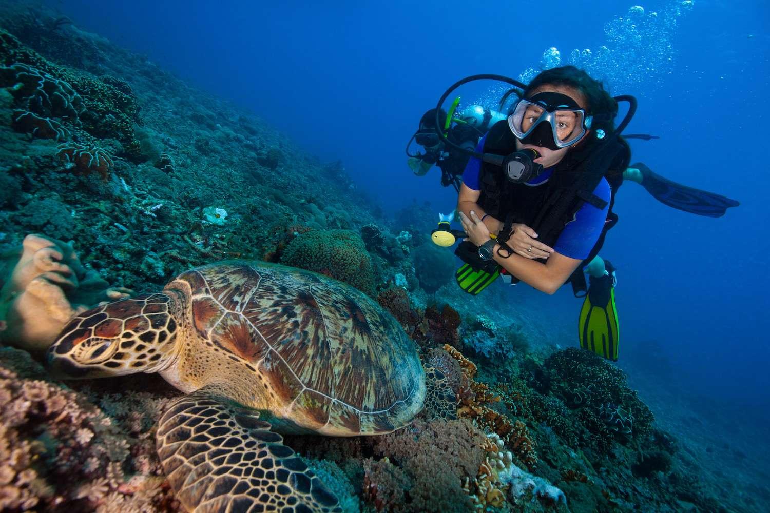 Exploring Marine ⁤Mysteries: ⁢The Daily ‌Adventures of Marine Biologists