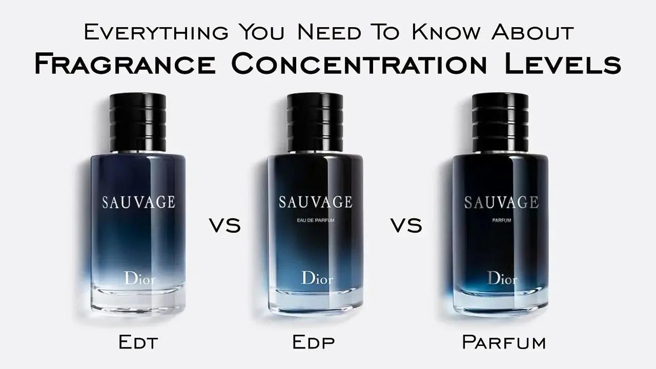 Join the Community: Engage with Fellow Fragrance Lovers