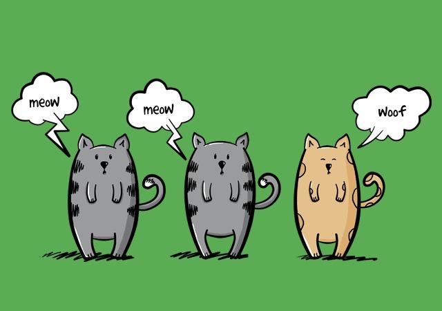 Crafting Your Unique Voice: How to Stand Out in the Crowd