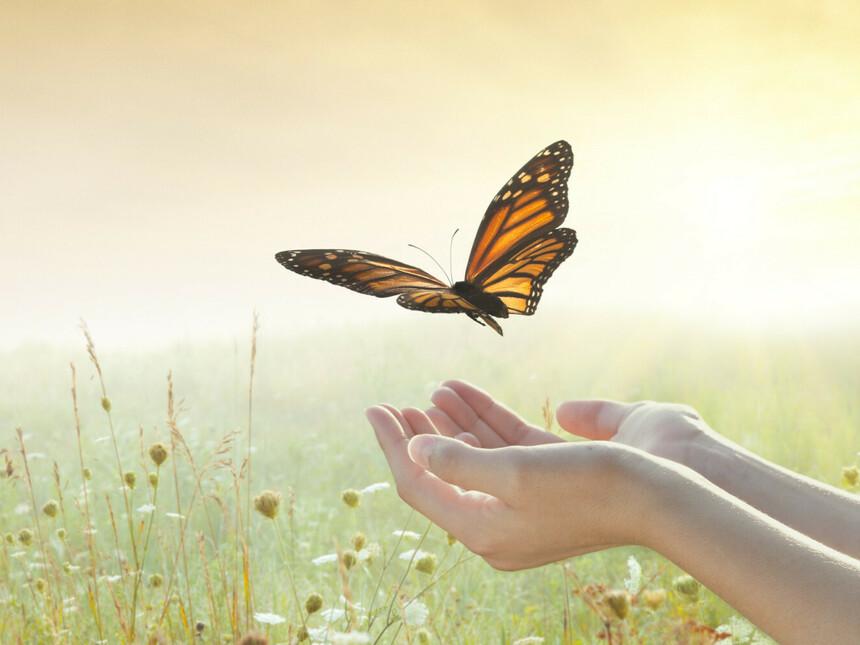 The Art of ‌Letting Go: Emotional Tips for‌ Deleting Your Favorites
