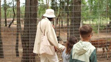 Tips for Creating Your Own Family Adventure Videos at Home