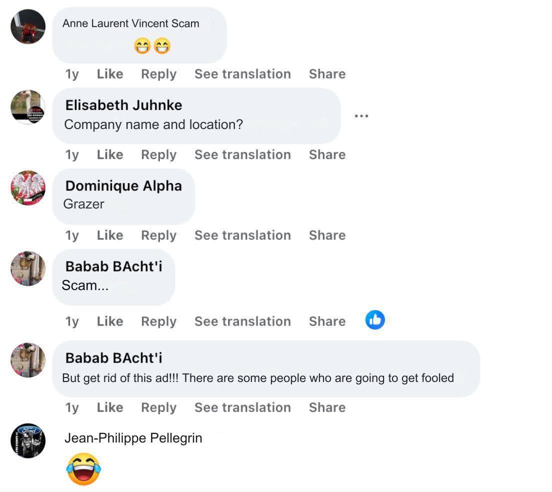 Tips and Tricks: Building Your Instincts Against Comment Scammers