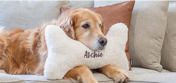 Showcase Your Style: Personalizing Your ⁢Companions in Terraria