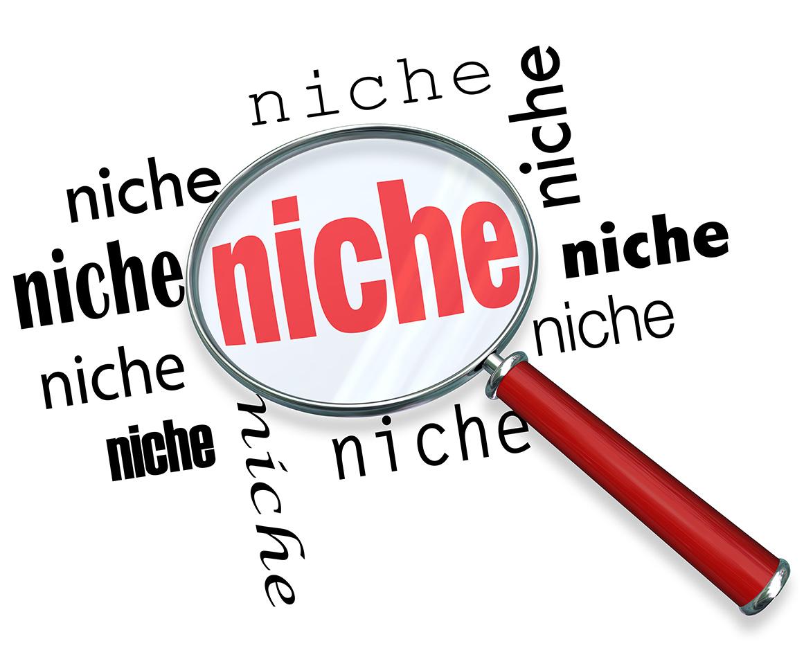 Exploring Your Niche: Finding Your Voice in the Vast Ocean of Content