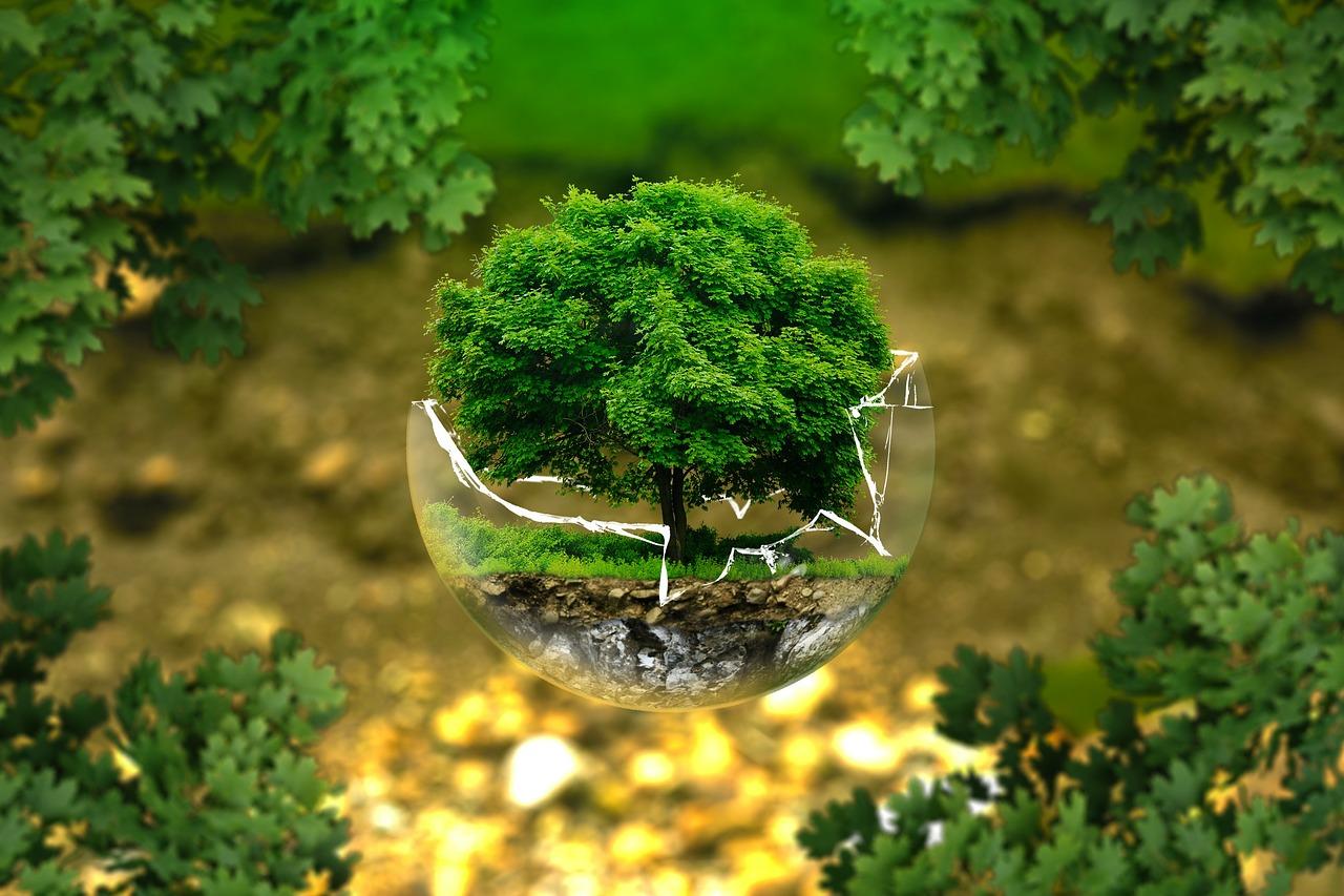Master Your Environment for Maximum Focus