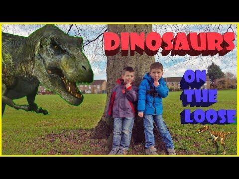 What the Hales: Diving into YouTube’s Fun Family Adventures