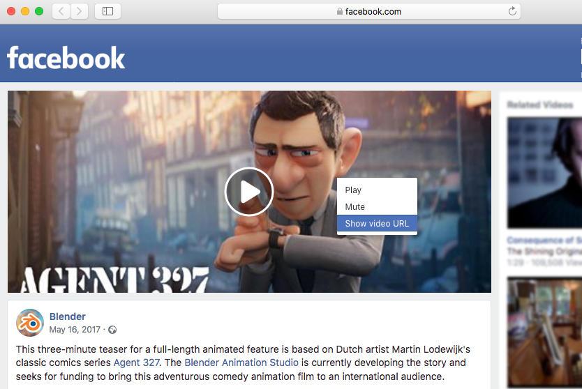 Your Easy Guide to Downloading Videos from YouTube