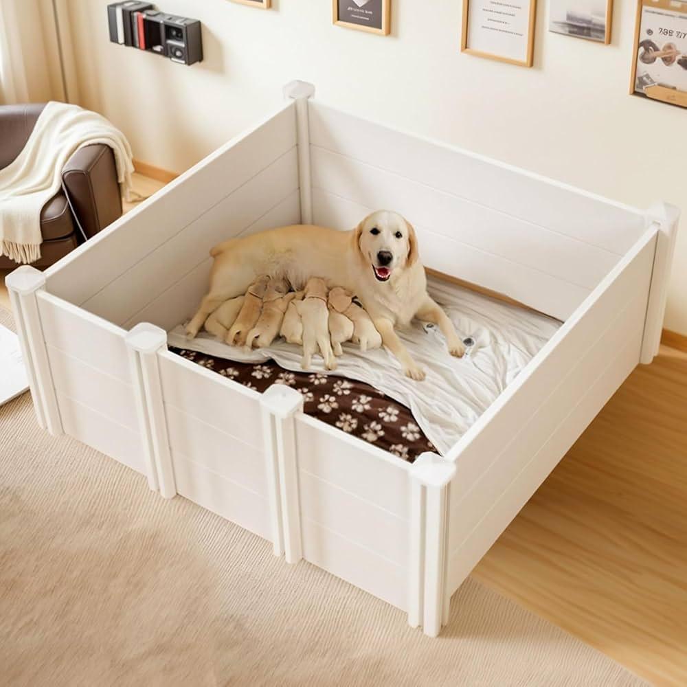 Creating the Perfect Whelping Space: Your Pups Home Away from Home