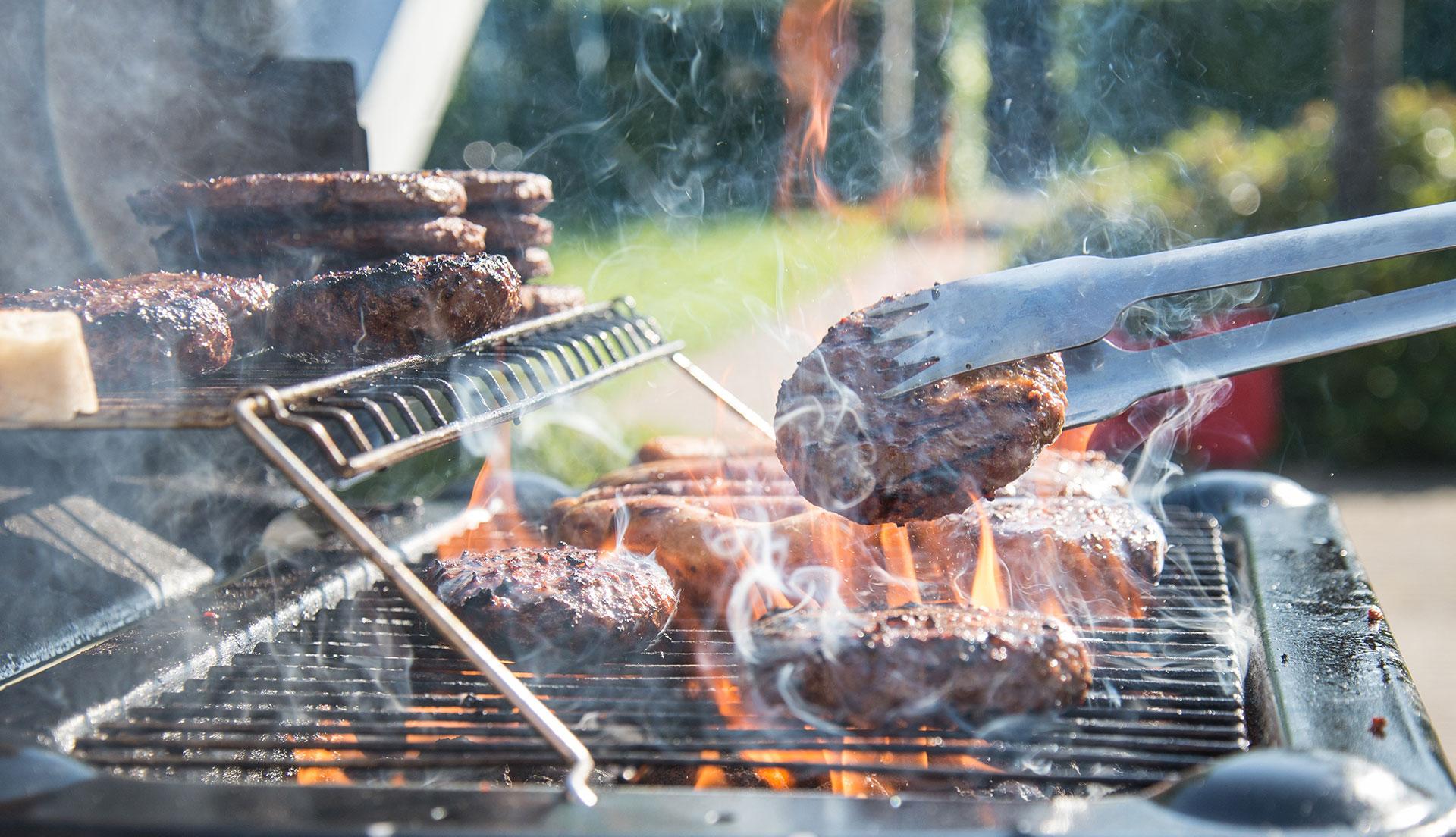 Mastering the Art of Broiling in Your Electric Oven