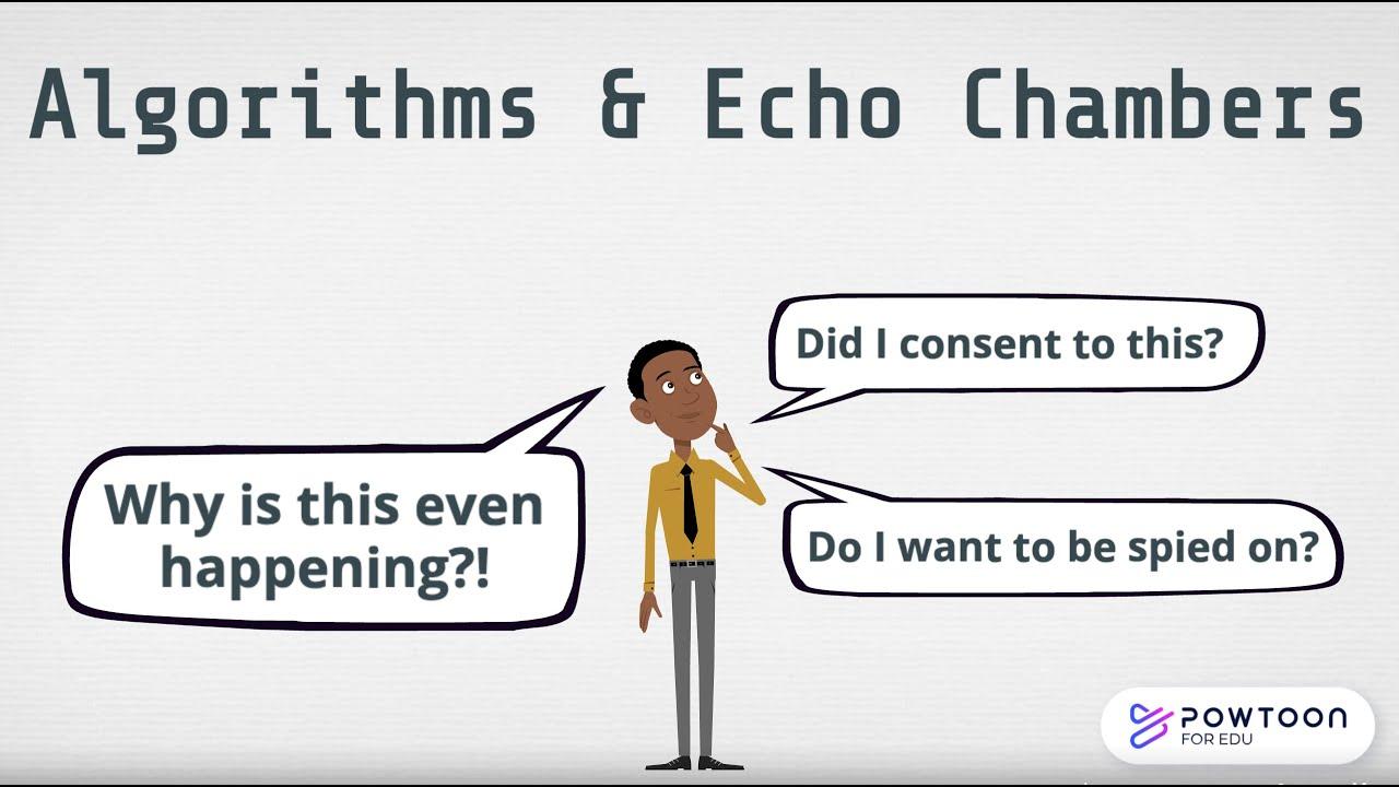 Exploring Algorithmic Echo Chambers and Their Impact on Racial Discourse