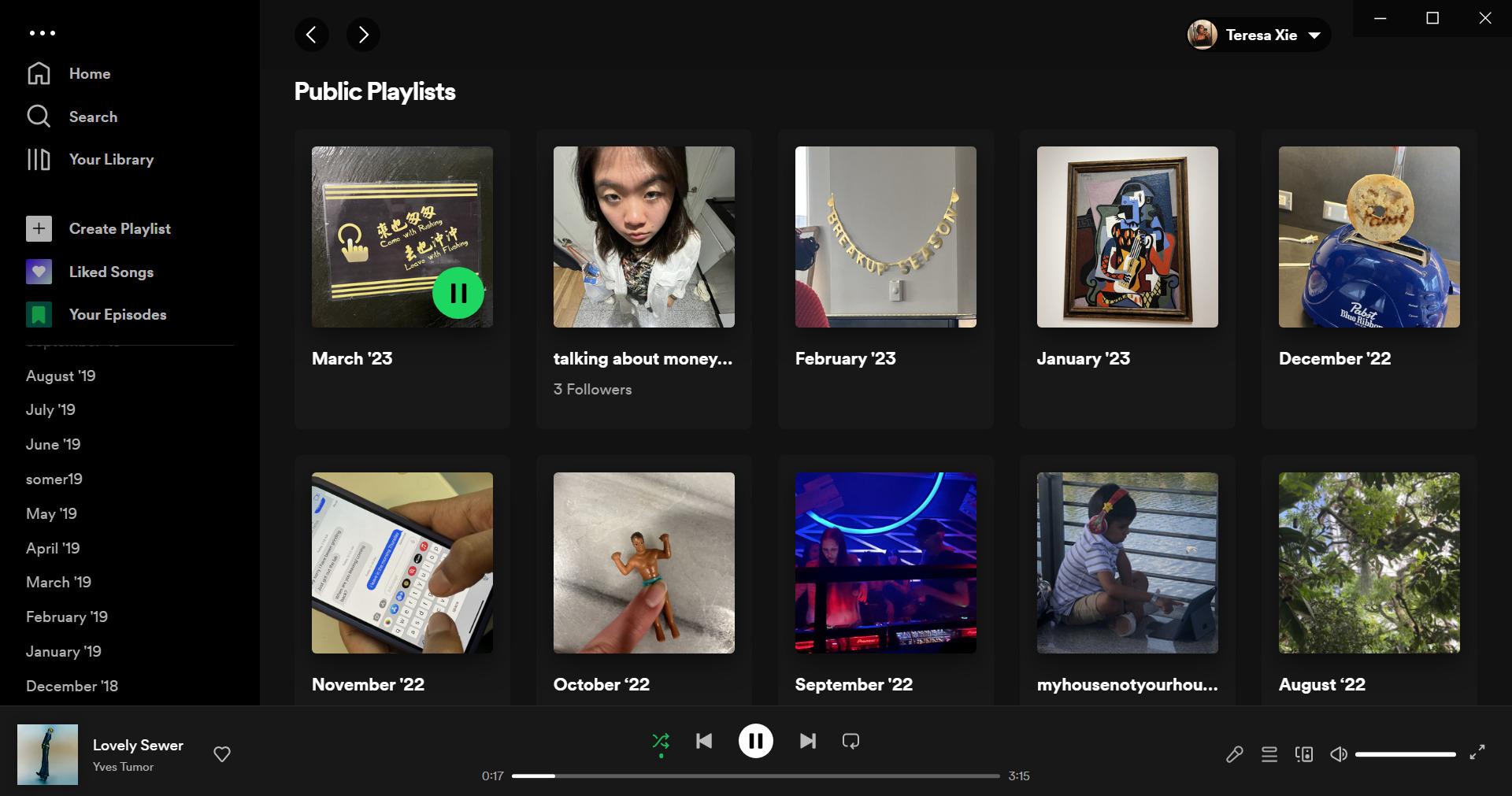 Embracing the‌ Benefits‌ of Playlists and Offline Features