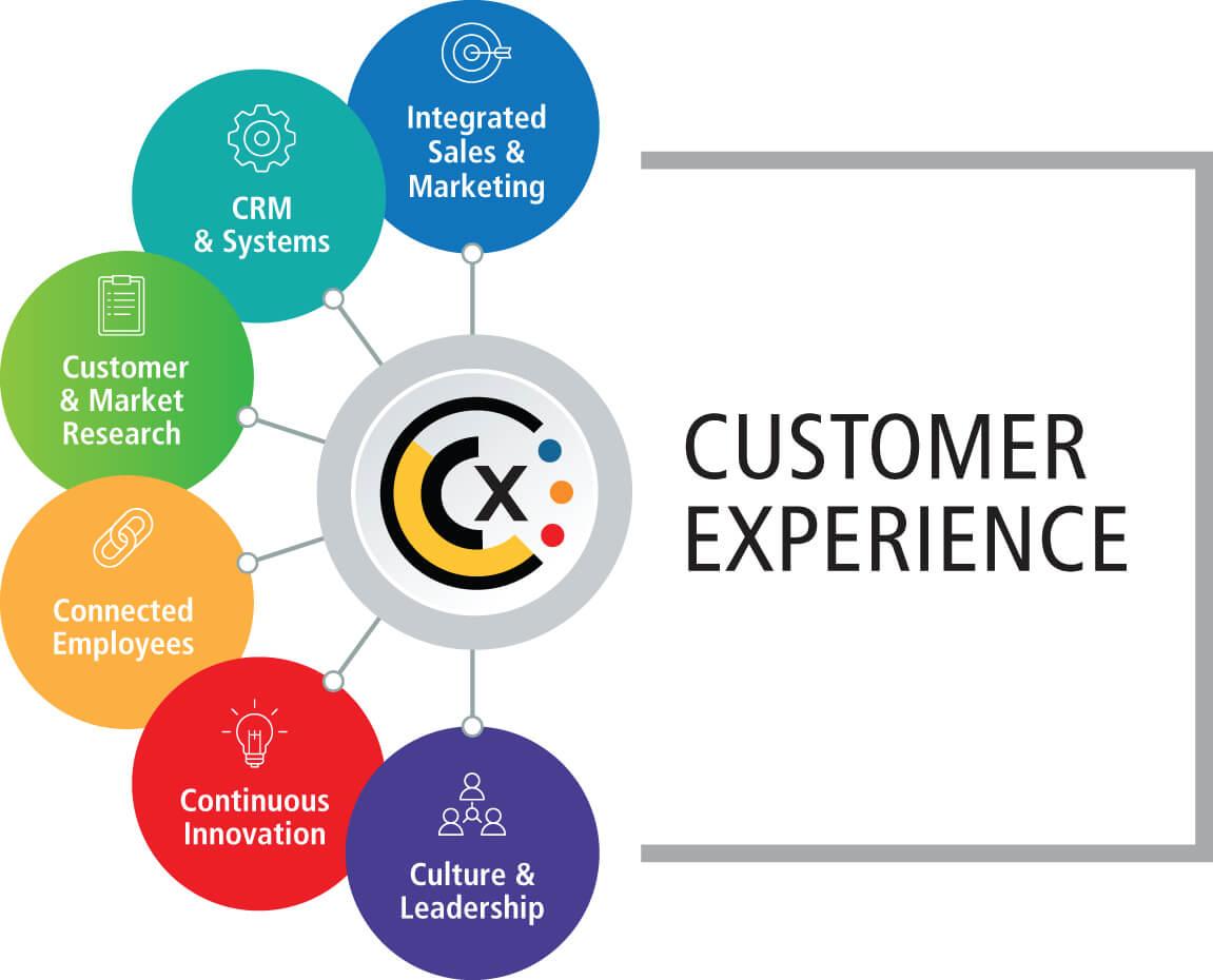 Customer Experience: Insights and Feedback from Real Users