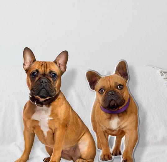 Tips and Tricks ⁣for Unlocking Exclusive Custom⁤ Pets