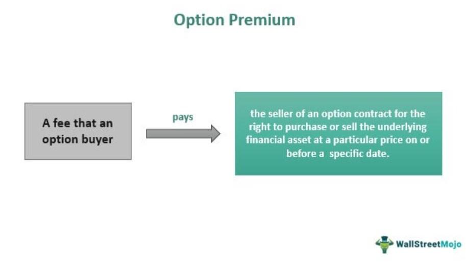 Choosing the Right Premium Options That Fit Your Lifestyle