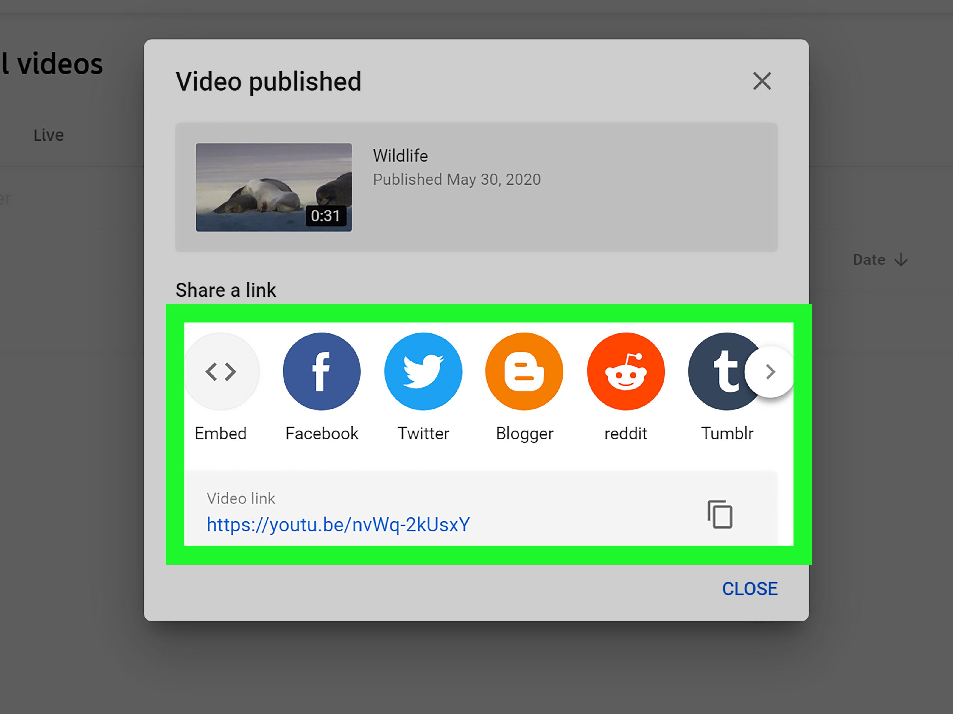 Troubleshooting Your ​YouTube Sharing Woes